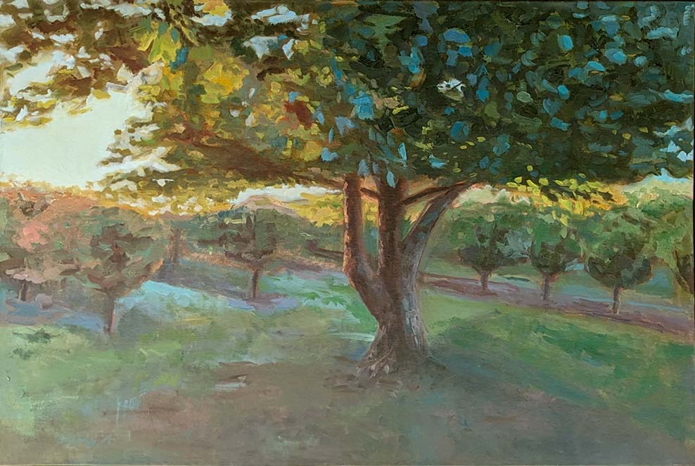 Radiant Canopy | 24 x 36  |  oil on stretched canvas, framed